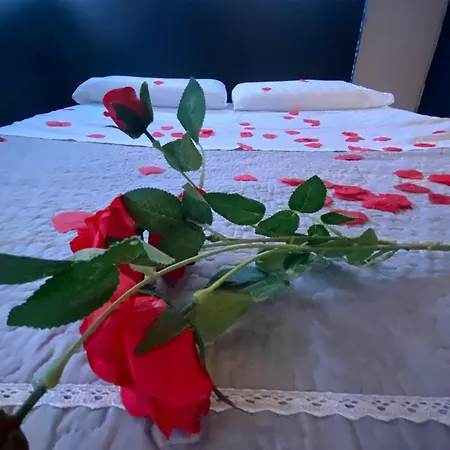 Casa Degli Orti, Dolomia *